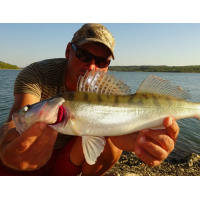 Ловля судака в Ленинградской области, советы