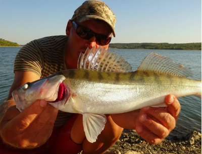 Ловля судака в Ленинградской области, советы