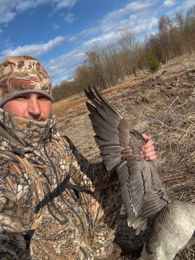 Полезные советы при охоте на гуся весной