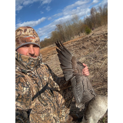 Полезные советы при охоте на гуся весной